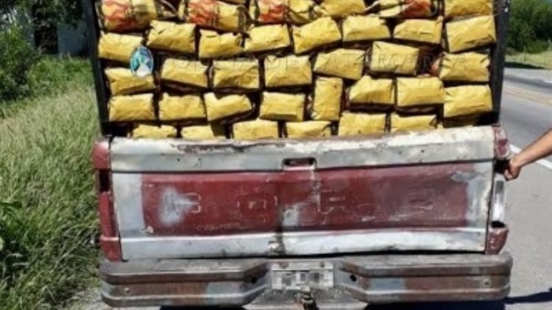 Secuestran 400 bolsas de carbón en Capayán