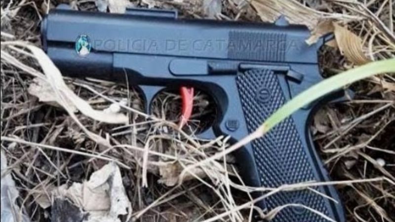 Quiso robar un arma de juguete, desató una persecución y terminó en el calabozo