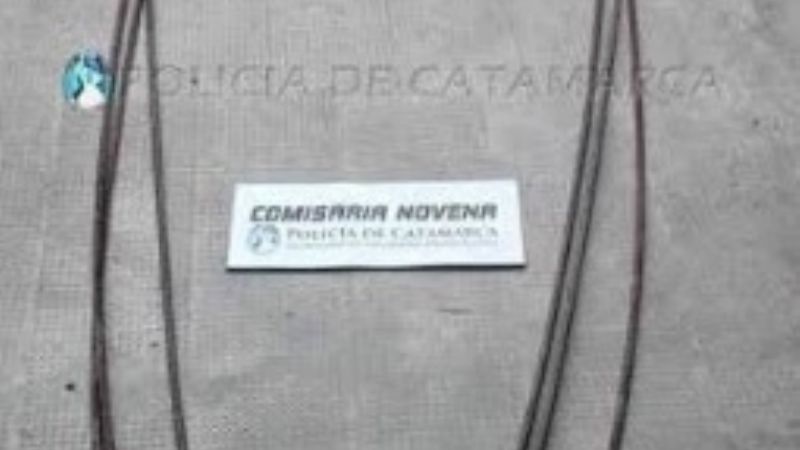 Llevaban varillas de hierro