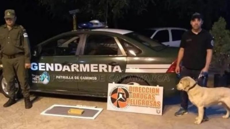 Desbaratan puntos de venta de droga e incautan un 1 kilo de marihuana en un colectivo