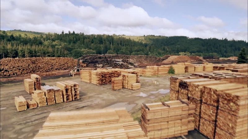 Fuerte caída de la actividad maderera en 2018