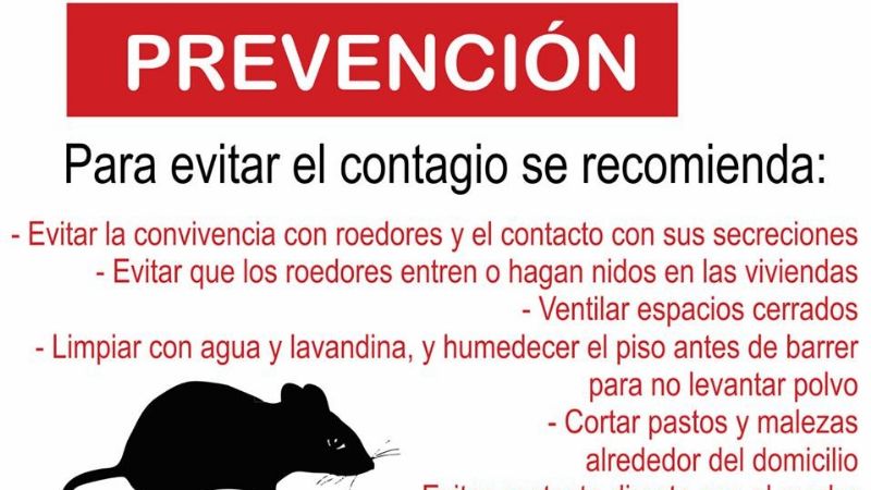 Recomendaciones para prevenir el hantavirus