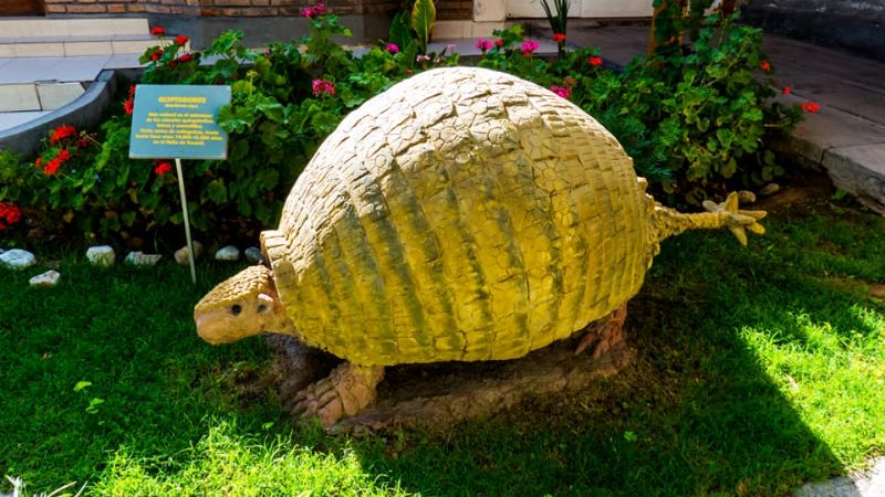 Impactantes paisajes que abrazan a Santa María