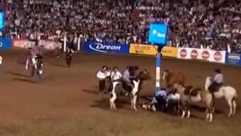 Murió un caballo en Jesús María y se reavivó la polémica