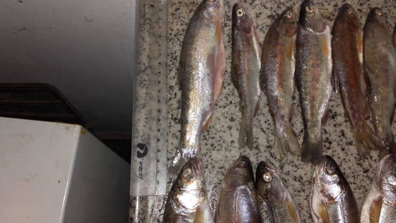 Pesca furtiva en Andalgalá