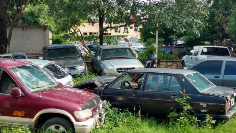 Denuncian proliferación de ratas en Valle Viejo