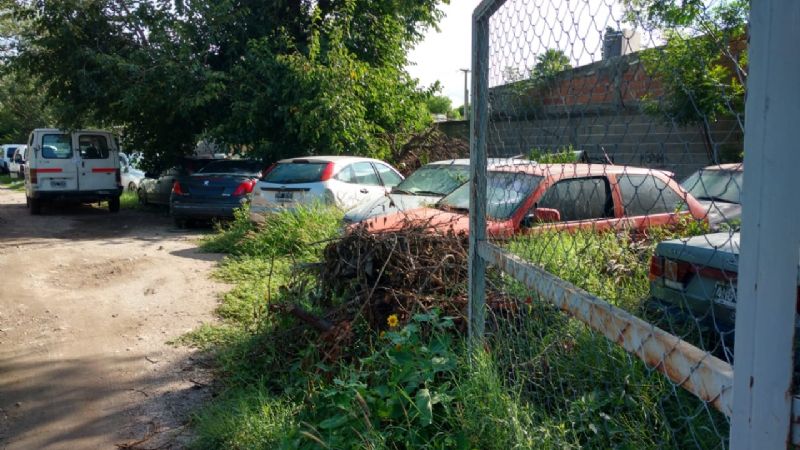 Denuncian proliferación de ratas en Valle Viejo