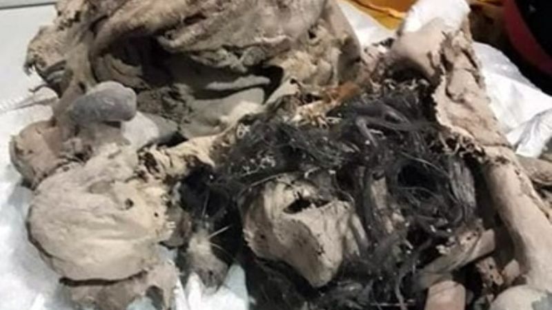 Encuentran un cuerpo momificado
