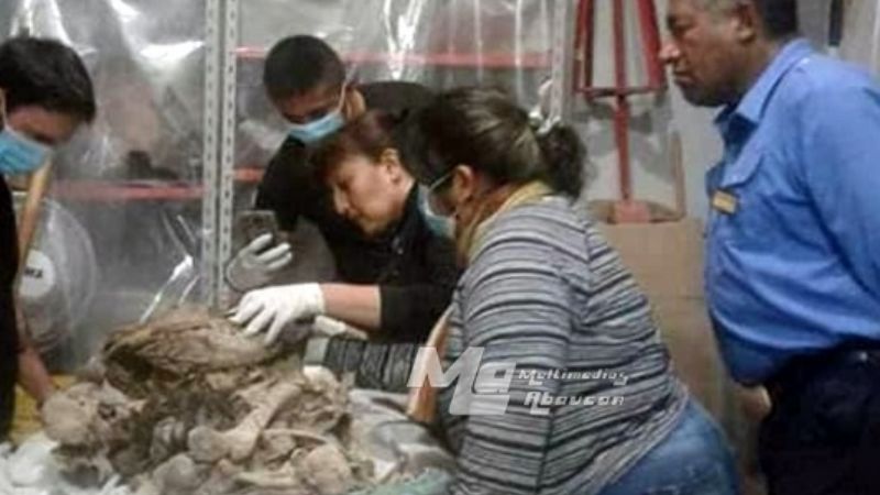 Encuentran un cuerpo momificado