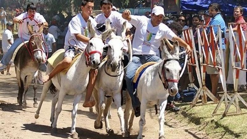 Se viene el 4º rally de burros en Las Palmas