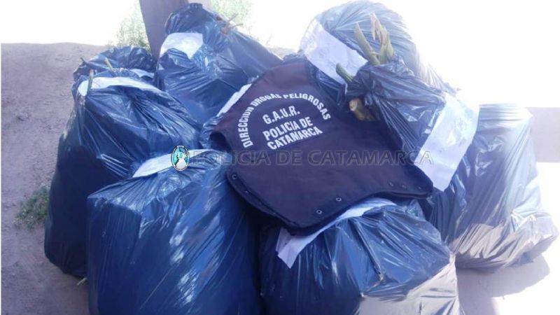 Secuestran plantas de marihuana en Belén y Capital