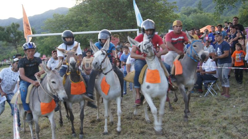 “Limau” se quedó con el rally de burros de Las Palmas