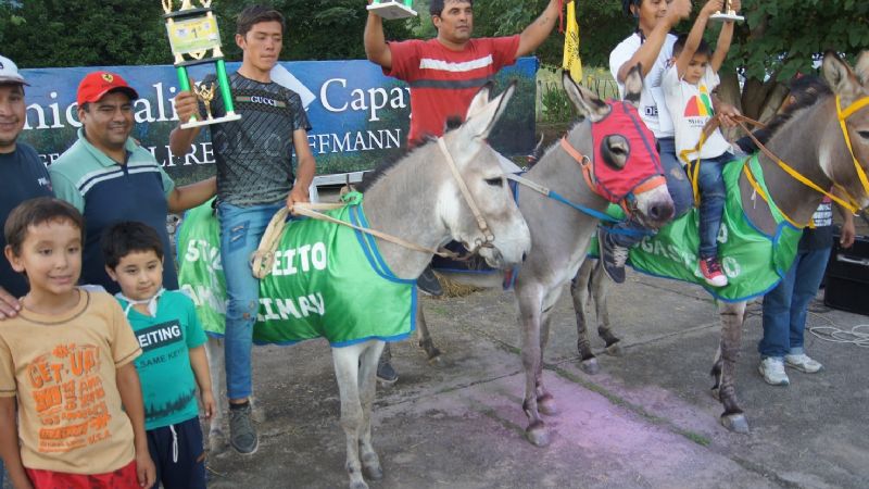 “Limau” se quedó con el rally de burros de Las Palmas