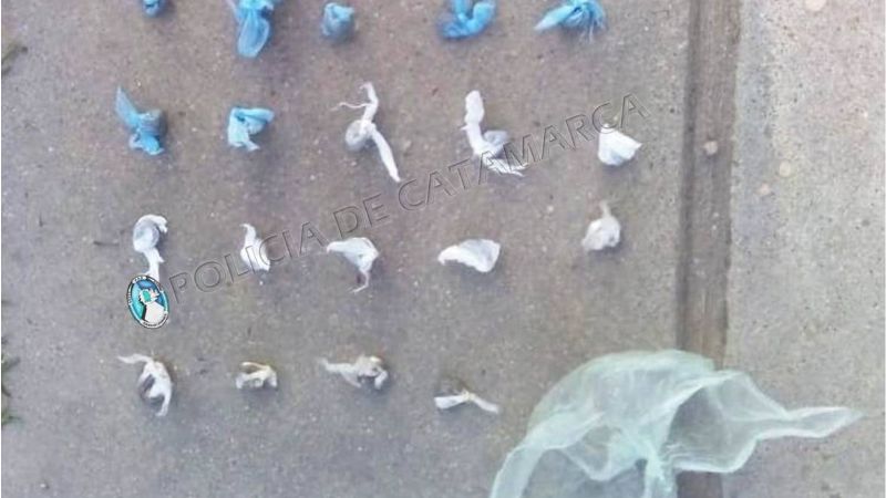 Detienen a dos jóvenes con 19 envoltorios con droga