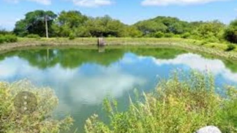 Mutquin y sus bellezas naturales