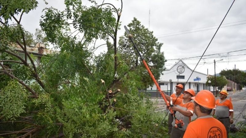 Importantes daños causó el paso de la tormenta