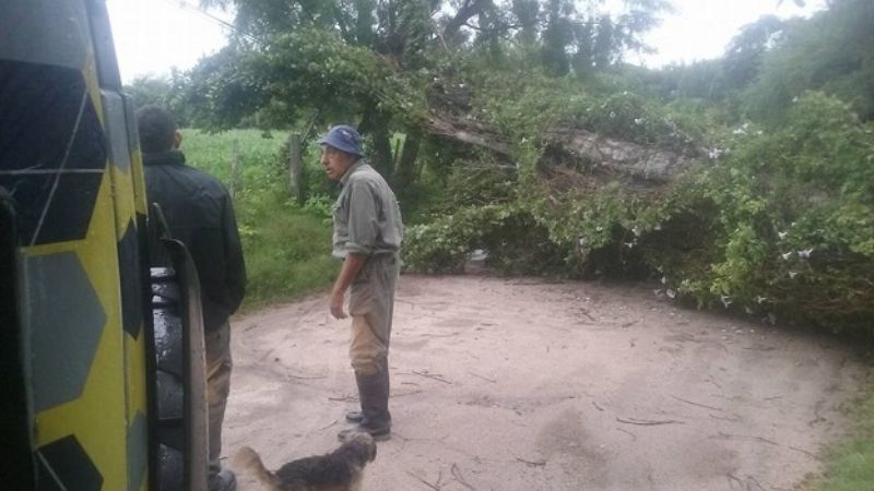 Importantes daños causó el paso de la tormenta