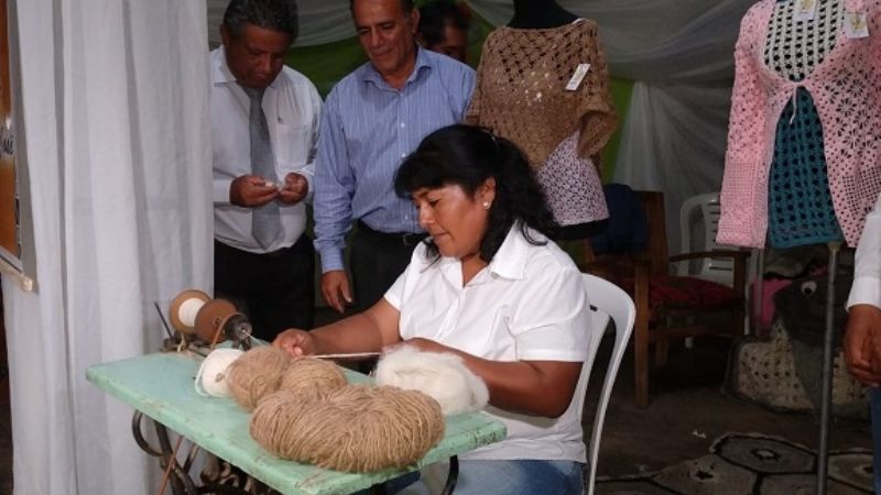 Comenzó la Expo Productiva y cultural San José