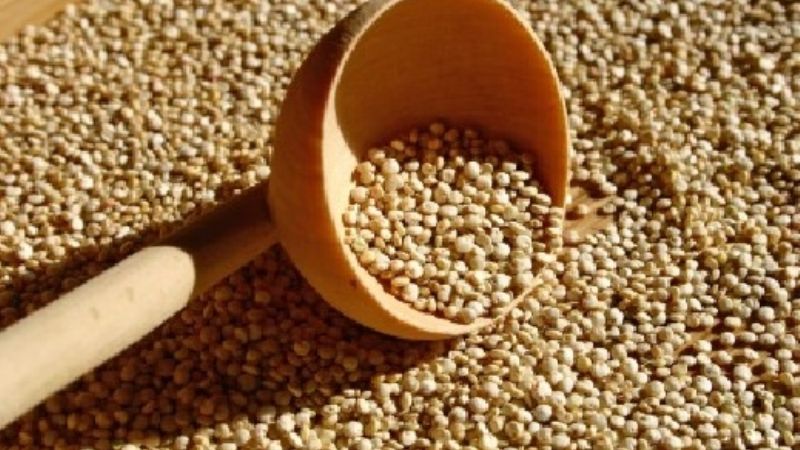 La quínoa, una bomba nutricional