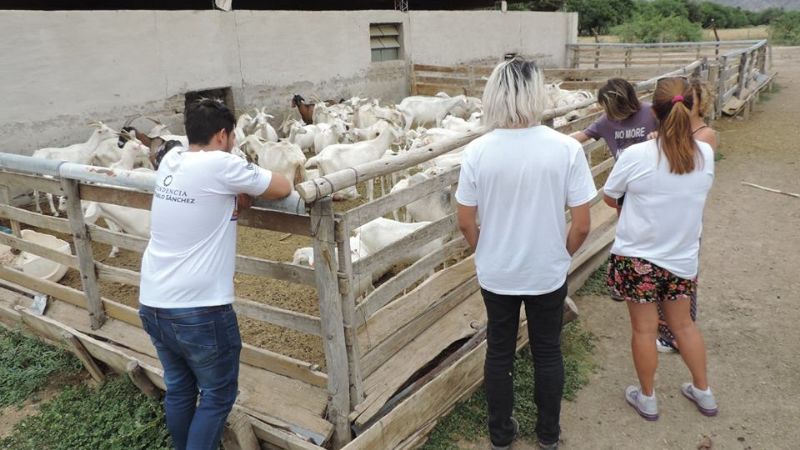 Turistas disfrutan del verano en Santa María