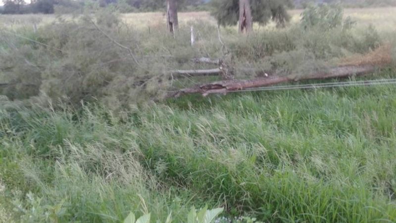 La lluvia no provocó importantes daños