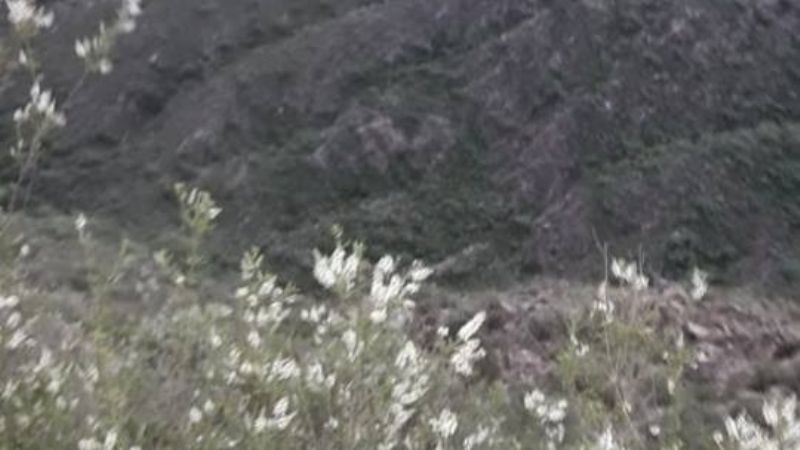 Sigue la búsqueda de la adolescente en Aconquija