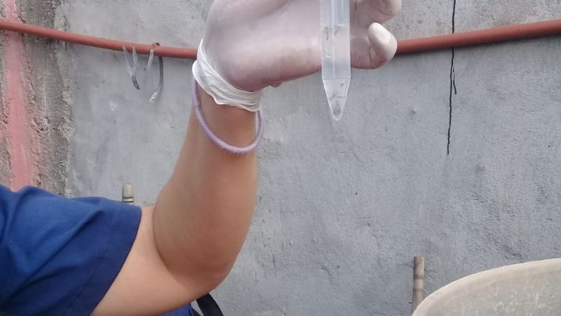 Continúan las acciones de prevención contra el hantavirus y arbovirus