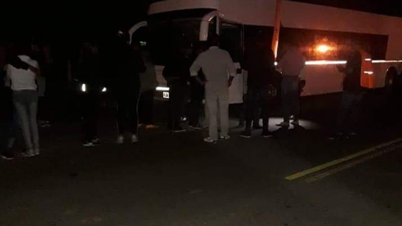 Un colectivo de larga distancia chocó contra un caballo