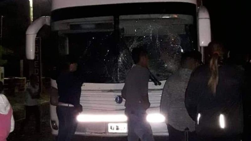 Un colectivo de larga distancia chocó contra un caballo