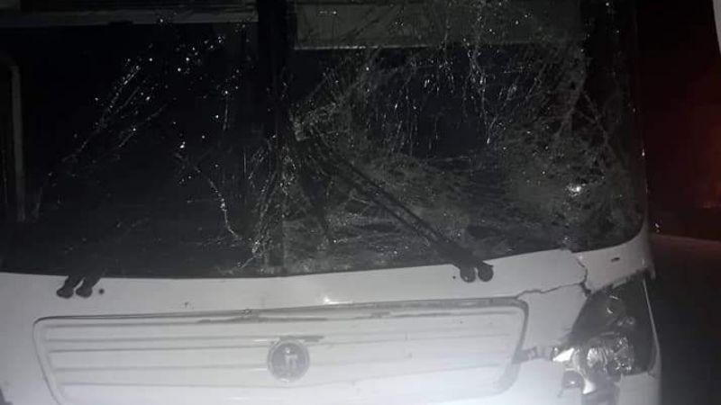 Un colectivo de larga distancia chocó contra un caballo