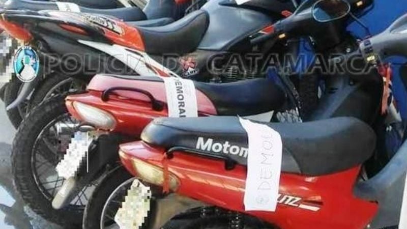 Operativo Sol y Montaña 2019: Secuestraron 26 vehículos