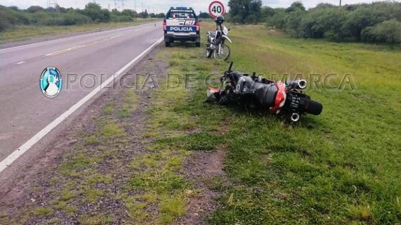 Accidente por animales sueltos en la ruta 157