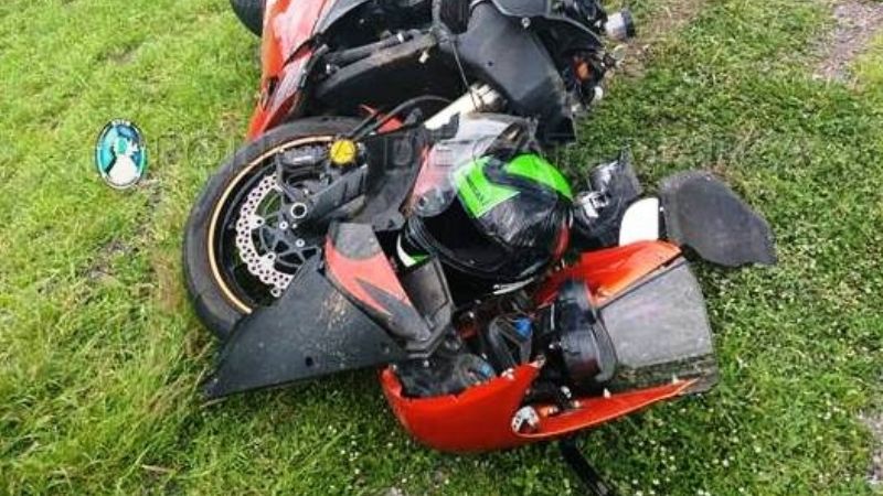 Accidente por animales sueltos en la ruta 157