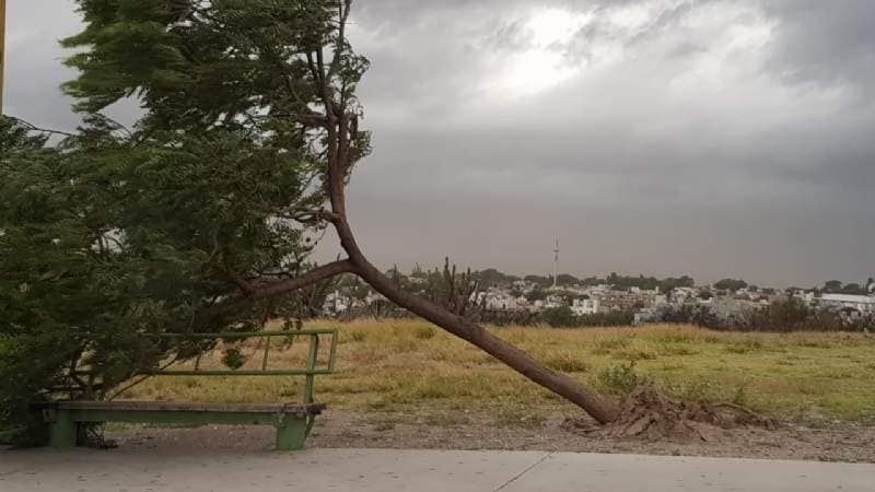 Reportes de la tormenta en Catamarca