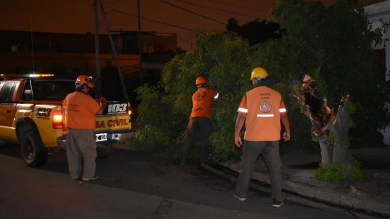 Intenso trabajo por caídas de árboles y voladuras de techos