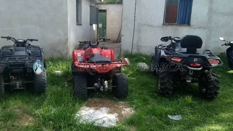 Secuestran 178 vehículos en puestos camineros