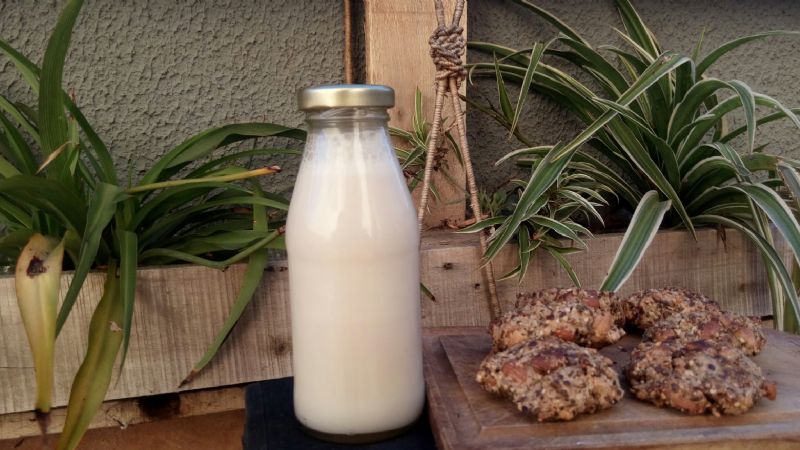 Taller de leches vegetales y galletas crudiveganas