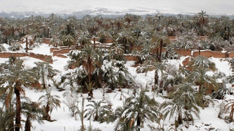 Nevó por primera vez en 50 años en el desierto de Marruecos