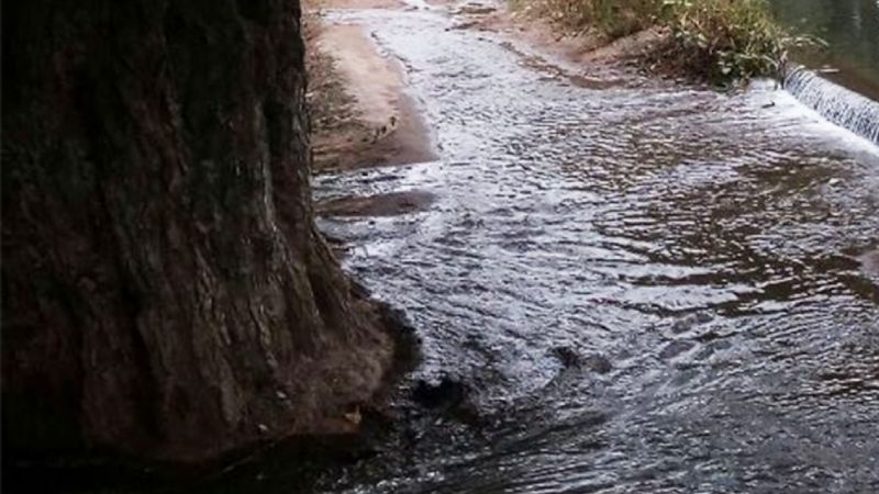 Cayó un árbol en Valle Viejo y desbordó un canal de riego