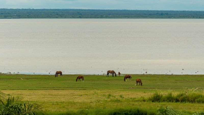 ¿Dónde desembocan los ríos de Aconquija, Singuil, Balcozna y Santa Rosa?