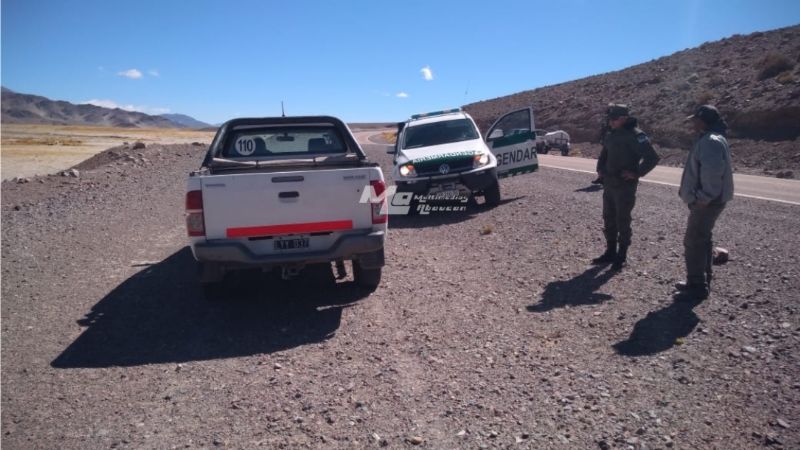 Atrapan a cazadores furtivos en la cordillera