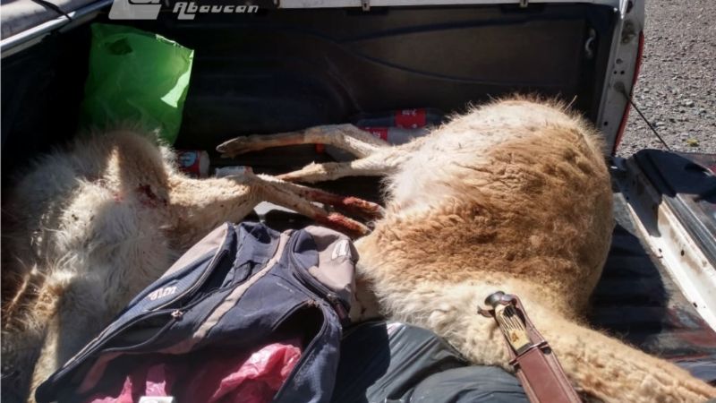 Atrapan a cazadores furtivos en la cordillera