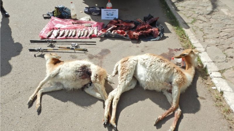 Atrapan a cazadores furtivos en la cordillera