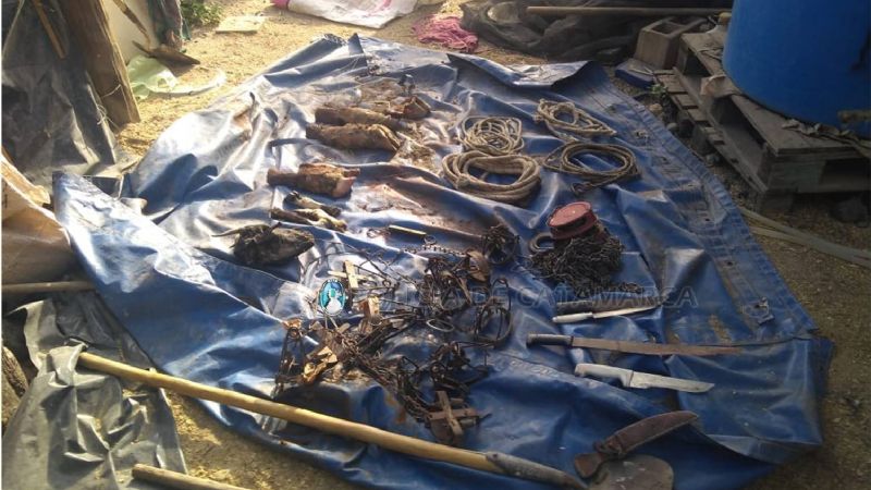 Robaron animales para matarlos: tenían un arsenal en la finca