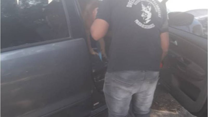 Operativo DISECAT en toda la provincia: secuestraron 78 vehículos y droga