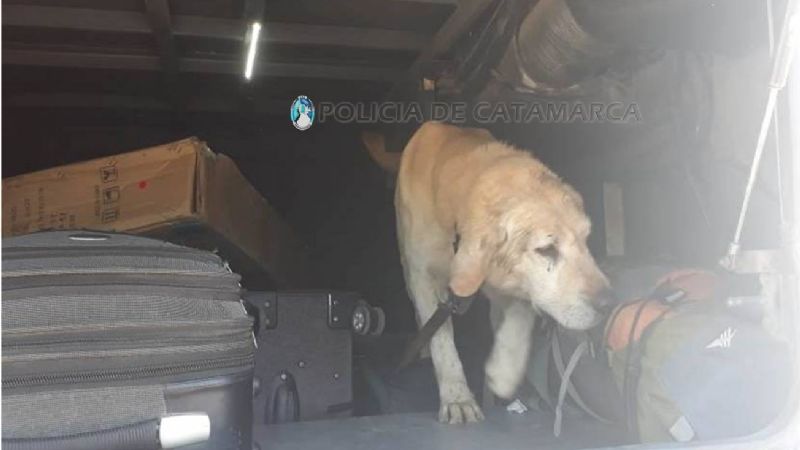 Operativo DISECAT en toda la provincia: secuestraron 78 vehículos y droga
