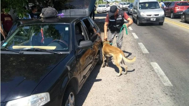 Operativo DISECAT en toda la provincia: secuestraron 78 vehículos y droga