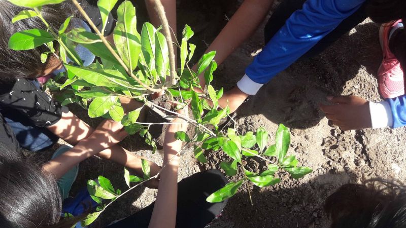 Robótica en el CIIC