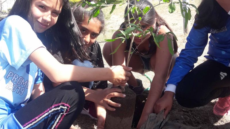 Robótica en el CIIC