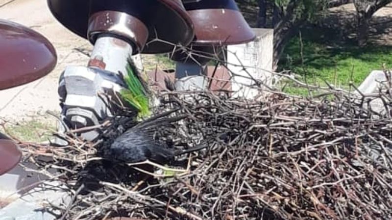 Una cata produjo fallas en el servicio en un sábado de mucho calor